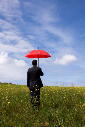 The insurance agent The insurance agent